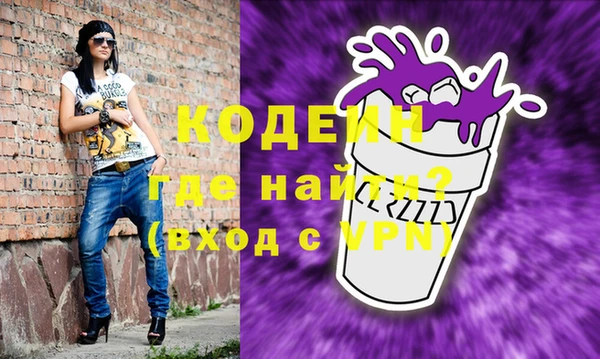 шишки Богородицк